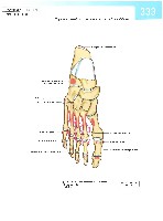 Sobotta  Atlas of Human Anatomy  Trunk, Viscera,Lower Limb Volume2 2006, page 340